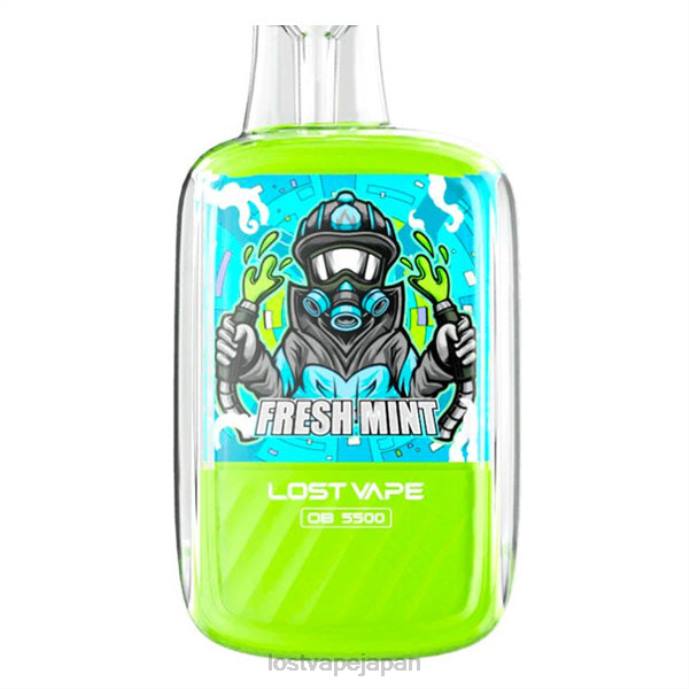 Lost Vape Japan - Lost Vape Orion ob5500 5500 パフ 14ml 50mg 使い捨て フレッシュミント 44X8101