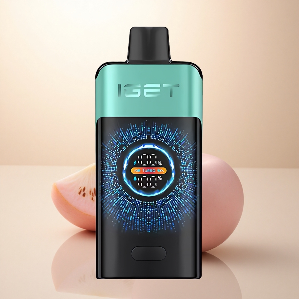 IGET ONE 12000 Puffs 山の泉ミントアイス 2700mAh デュアルメッシュコイル