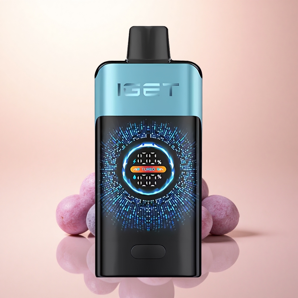 IGET ONE 12000 Puffs ブルーベリーアイス 2700mAh デュアルメッシュコイル