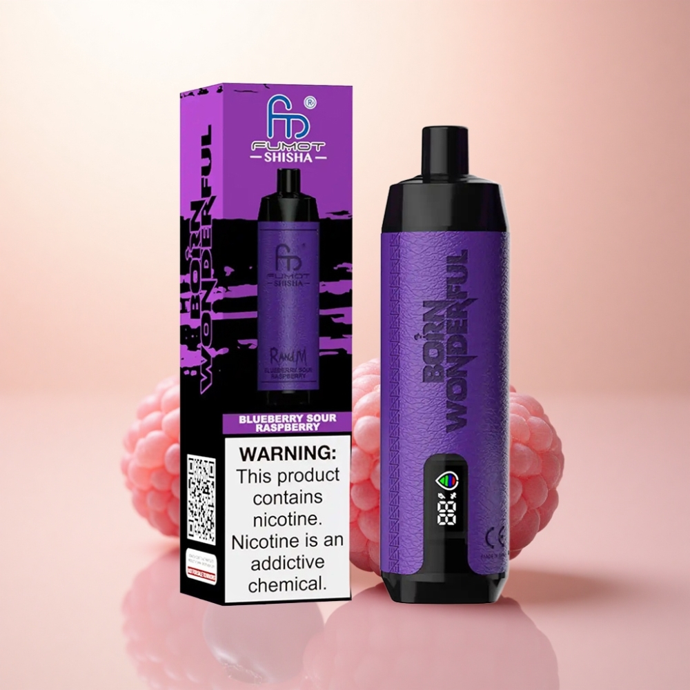 RandM Fumot Shisha 10000 Puffs ブルーベリーサワーラズベリー 0.5%ニコチン 850mAh