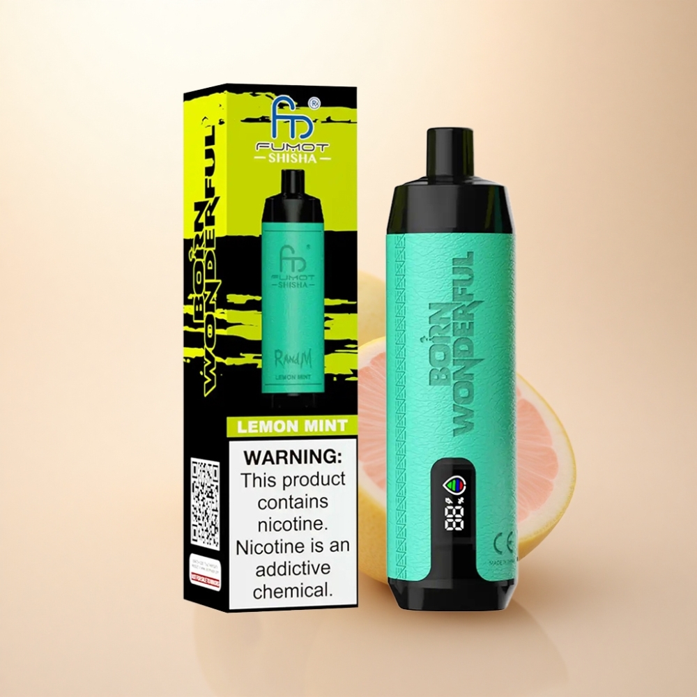 RandM Fumot Shisha 10000 Puffs レモンミント 0.5%ニコチン 850mAh