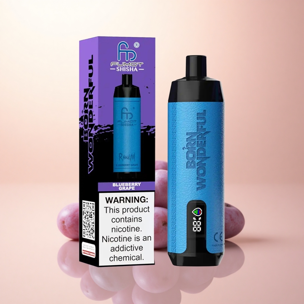 RandM Fumot Shisha 10000 Puffs ブルーベリーグレープ 0.5%ニコチン 850mAh