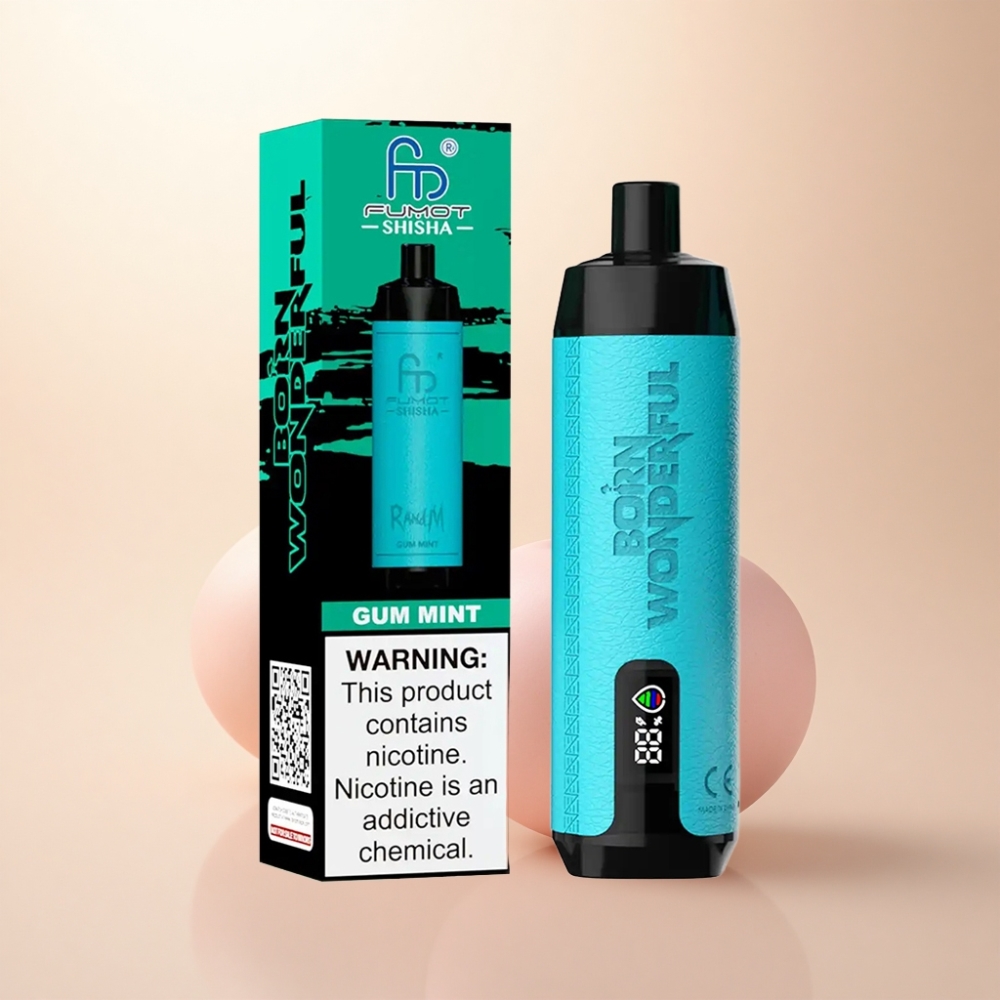 RandM Fumot Shisha 10000 Puffs ガムミント 0.5%ニコチン 850mAh