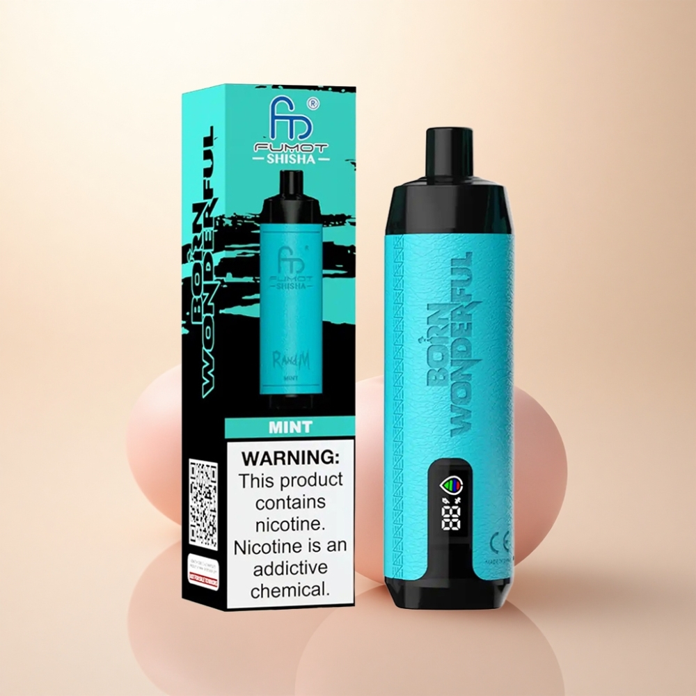 RandM Fumot Shisha 10000 Puffs メッシュコイル0.6ohm ニコチン0.5%