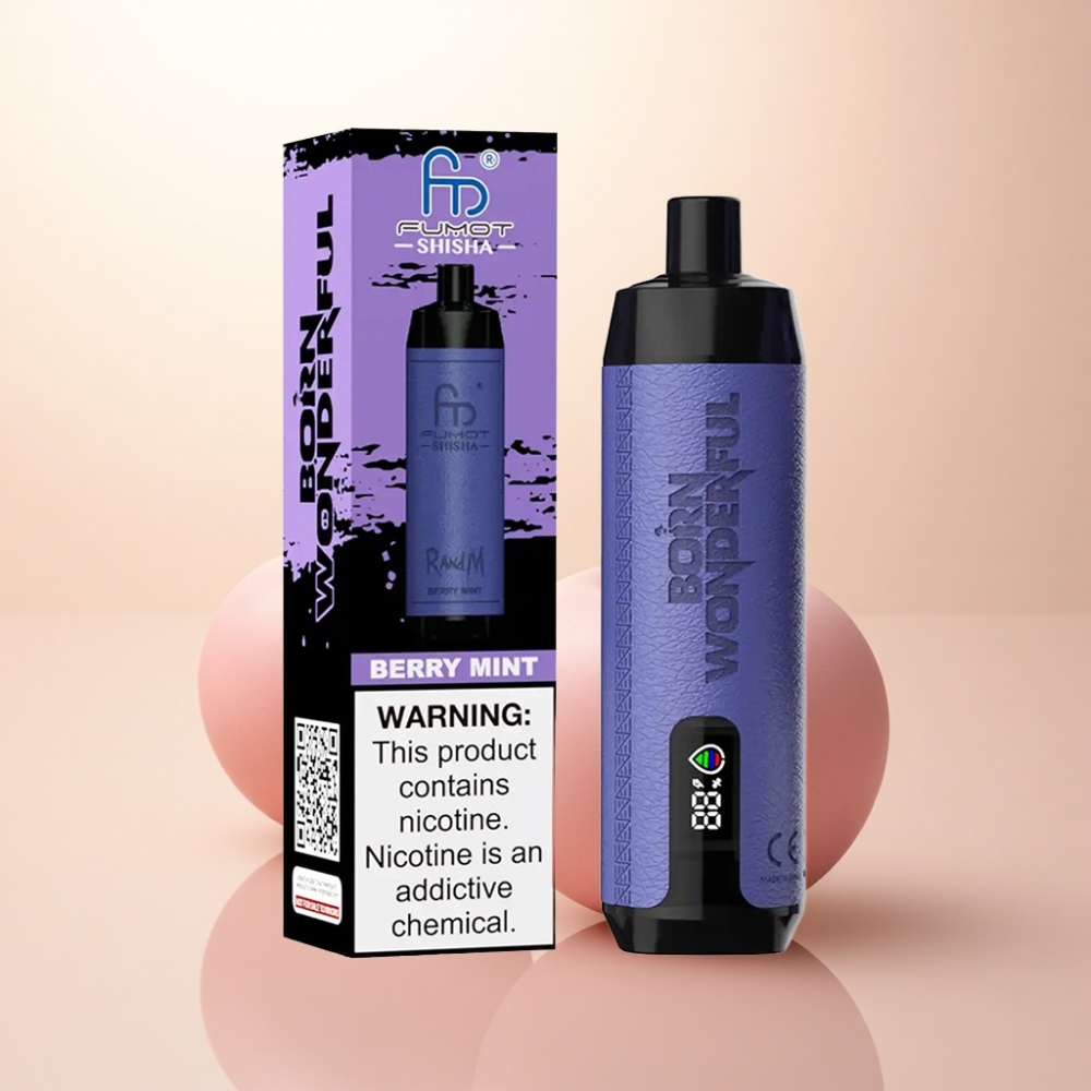 RandM Fumot Shisha 10000 Puffs ベリーミント 18ml 850mAh