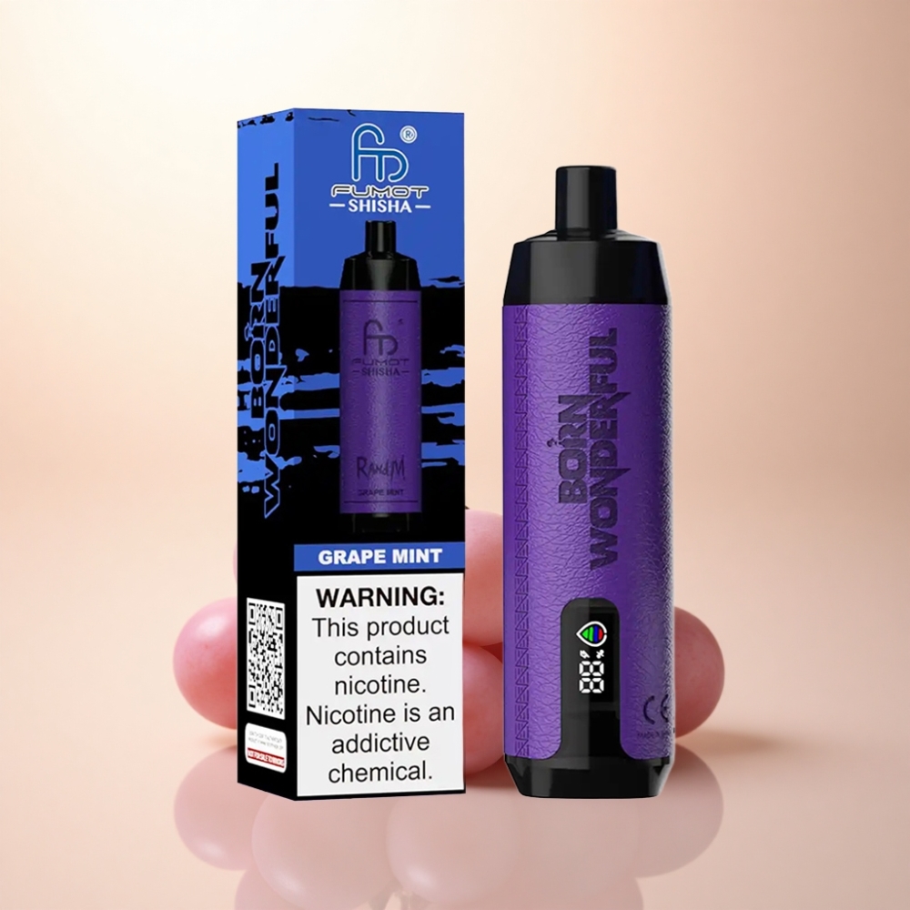 RandM Fumot Shisha 10000 Puffs グレープミント 18ml 850mAh