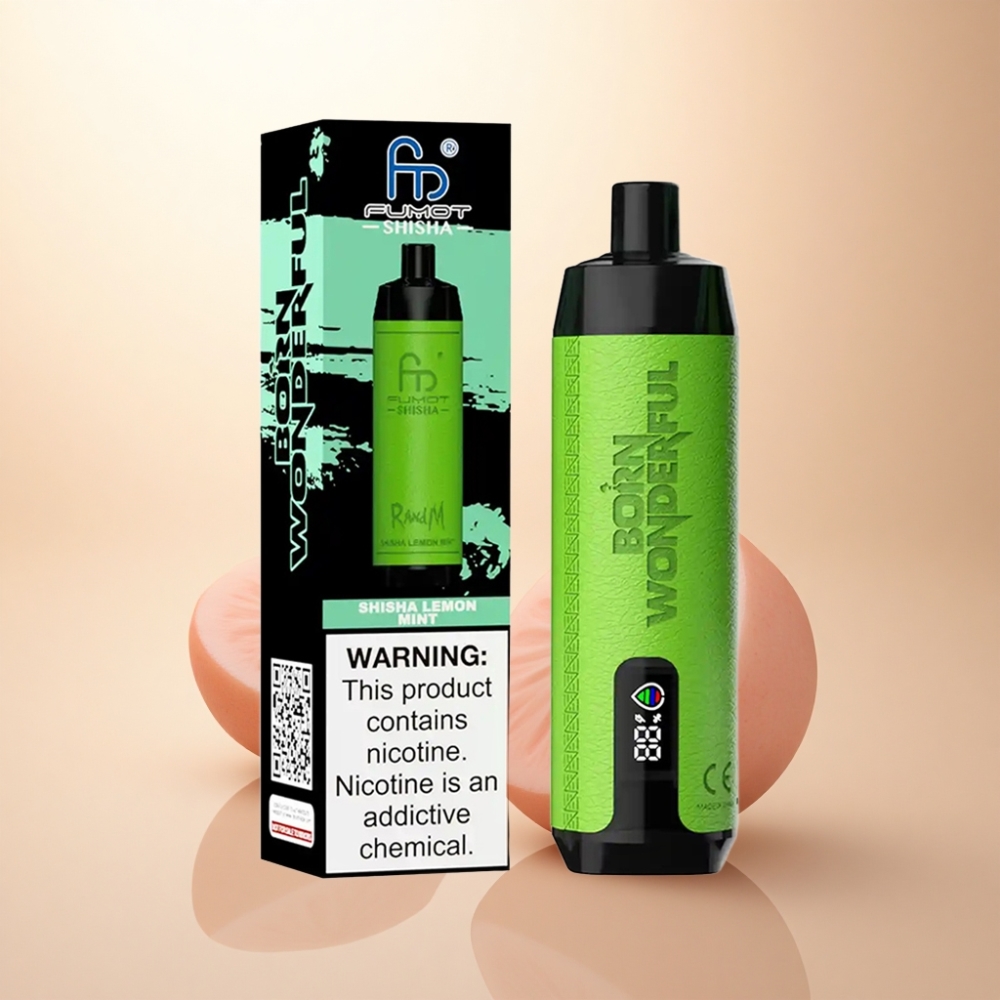 RandM Fumot Shisha 10000 Puffs レモンミントメッシュコイル18ml