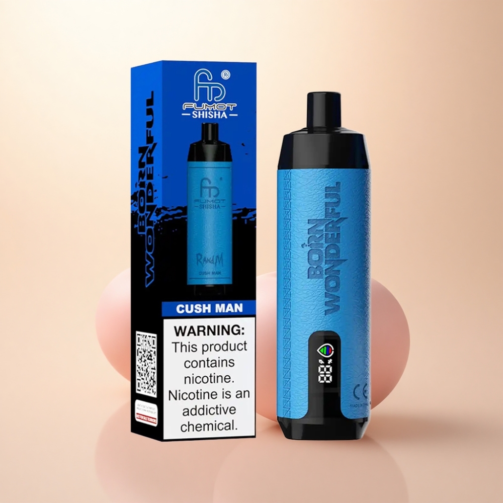 RandM Fumot Shisha 10000 Puffs カシュマン LED 0.5%ニコチン