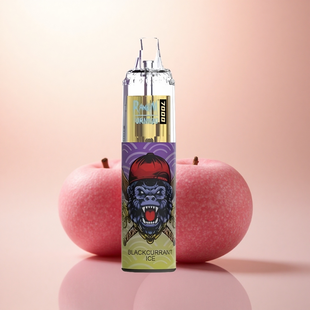 RandM Fumot Tornado 7000 Puffs ブラックカラントアイス 14ML 850mAh